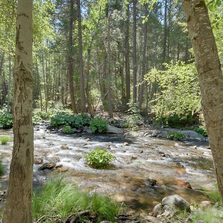 Riverfront Home Near Yosemite National Park! Groveland Exterior photo