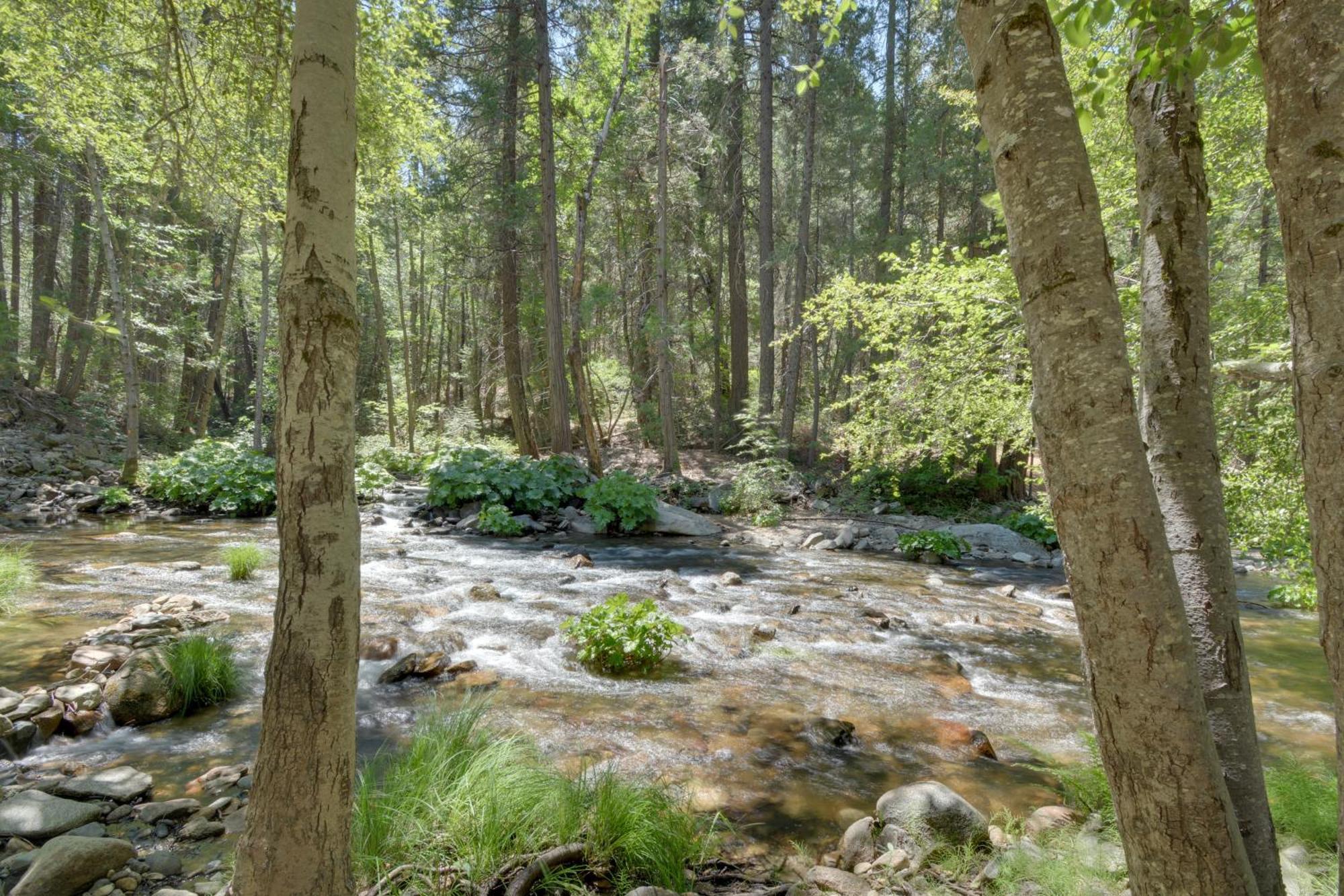 Riverfront Home Near Yosemite National Park! Groveland Exterior photo